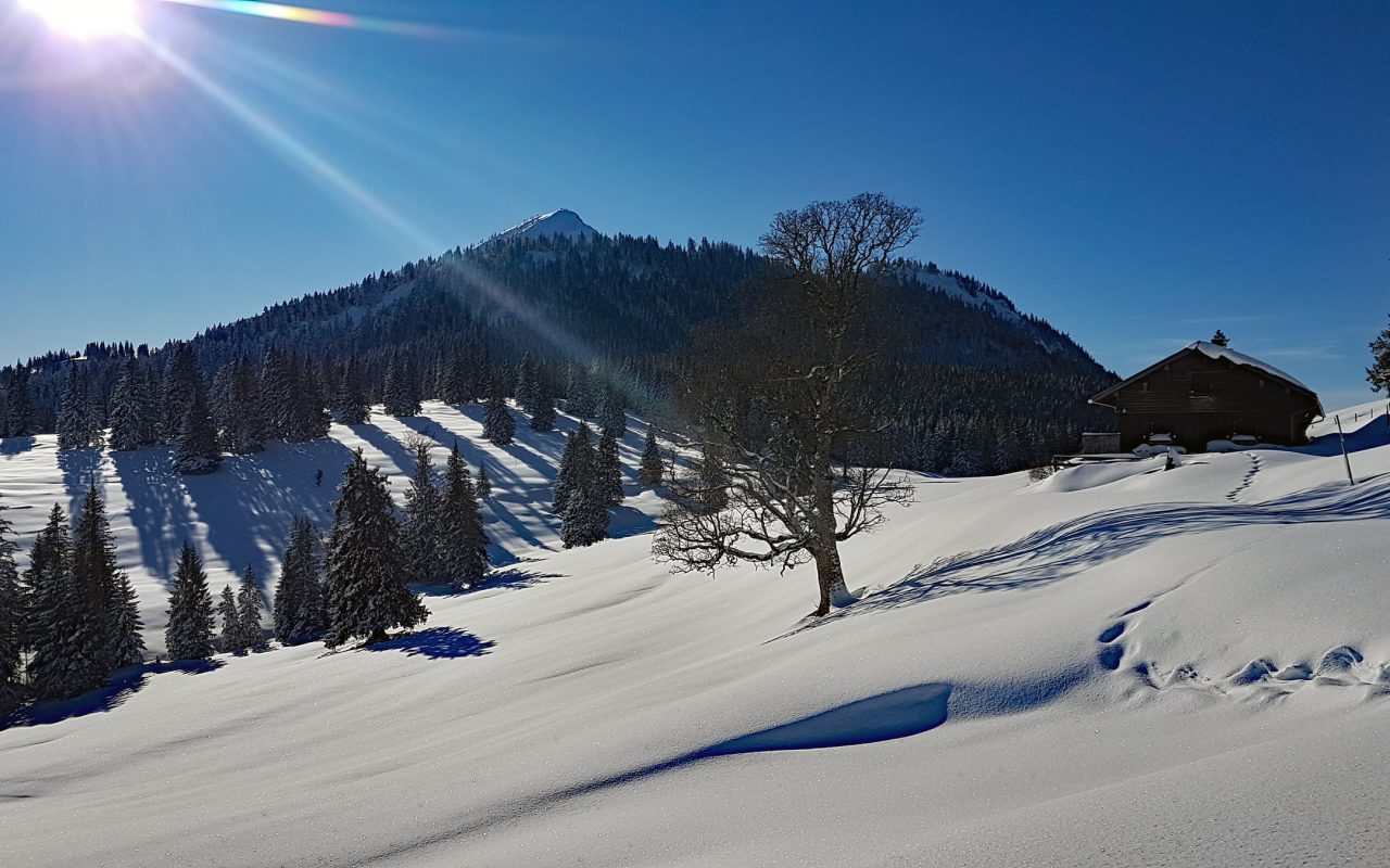Skitour Schneeschuhwanderung