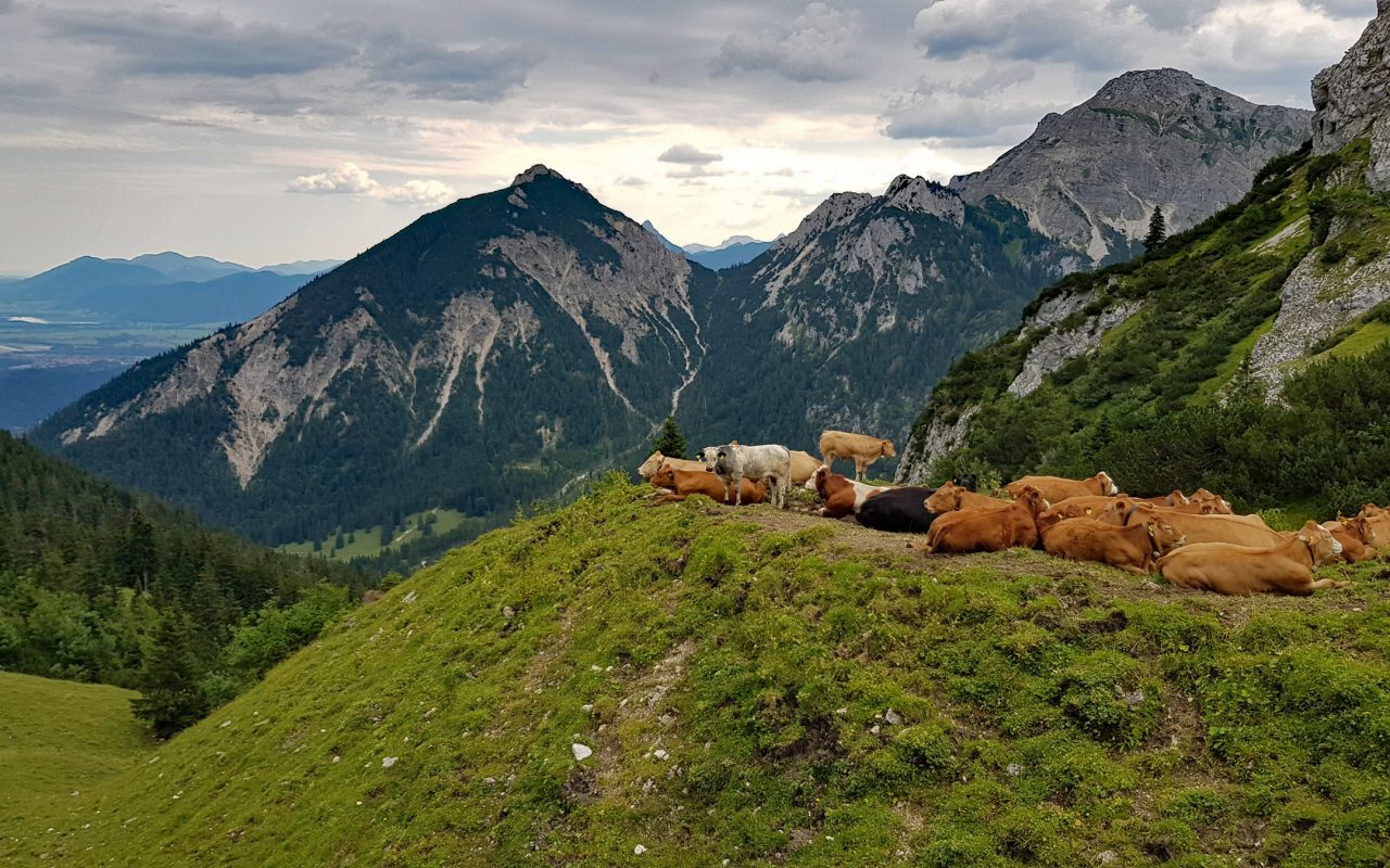 Rossberg Vils
